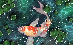 Рыбка слила данные банковской карты на стриме, играя в Pokemon. Опубликована запись неудачного заплыва