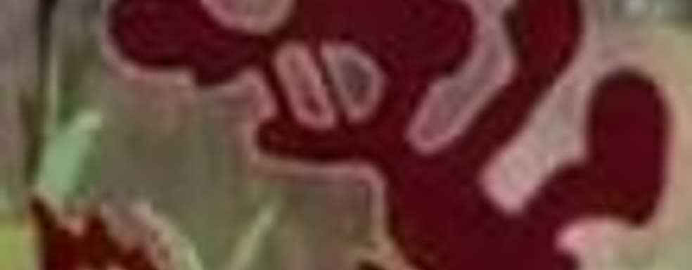 Nintendo уберёт из Super Smash Bros. Ultimate «расистское изображение коренных американцев»