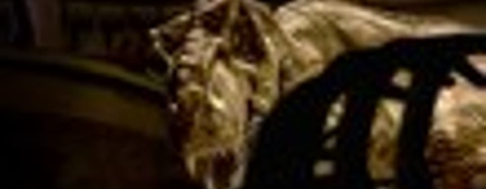 Jurassic Park: The Game бесплатно для тех, кто купит год подписки PS Plus