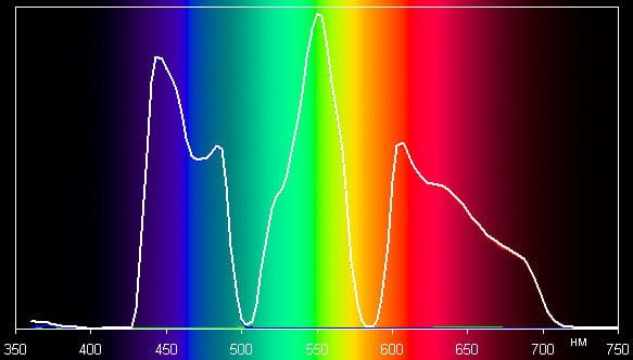 Spectrum