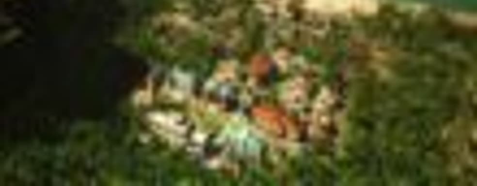 Tropico 5 в продаже