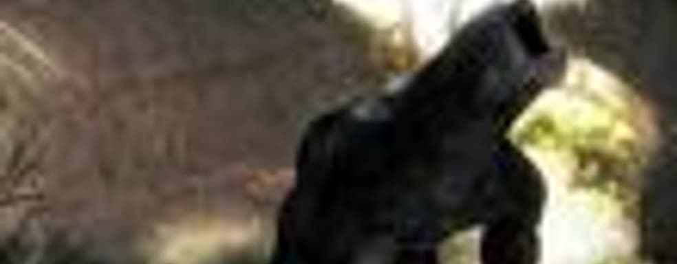 «Новый Диск» издаст Risen в России