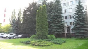 Samsung Galaxy S4 Active, пример снимка