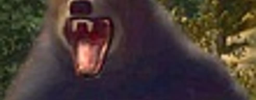 Aсtivision готовит игру про охоту на диких животных для Kinect