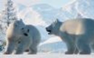 Снег и звери – трейлер дополнения Arctic Pack для Planet Zoo