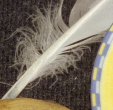 Фрагмент 1:1