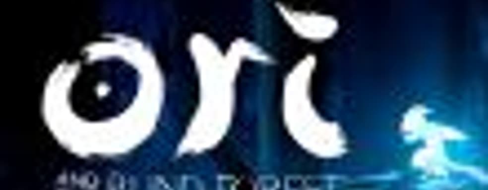 PC-версия Ori and the Blind Forest: Definitive Edition задержится