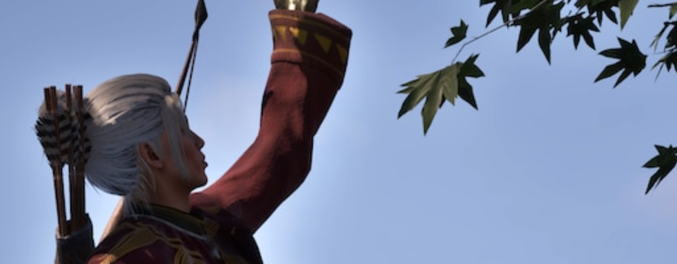 На Nexus Mods вернули мод с выбором «Мужчина/Женщина» для ремастера TES 4 Oblivion — геймеры связывают это с массовой отменой премиум-подписок