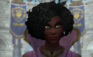 Разработчики WoW заявили, что устали от орков. Активисты нашли в этом угнетение небелых и обрушились на Blizzard