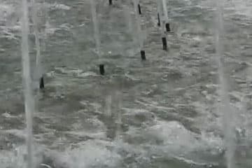 Видеокамера Sony HDR-CX900