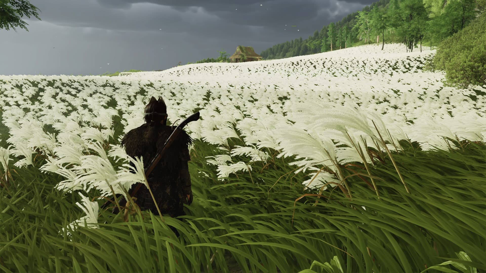 Скриншот Ghost of Yotei / Sucker Punch Productions