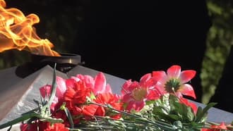 Видеокамера Panasonic HC-V550