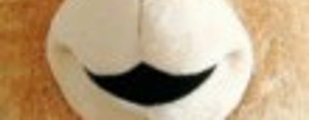 Победитель конкурса «Третий лишний»