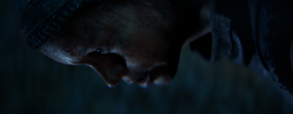 Hellblade 2 стала посмешищем из-за маркетинговой кампании. Xbox показала старый скриншот незадолго до релиза игры