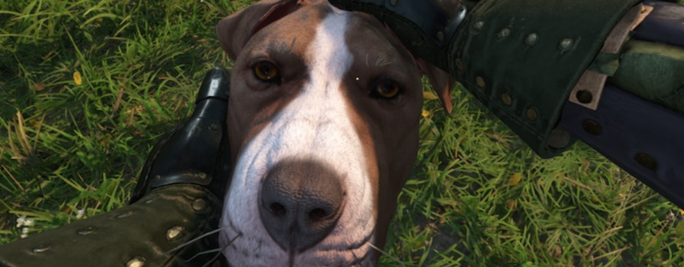 Kingdom Come Deliverance 2 оказалась в пять раз дешевле Death Stranding и уже окупилась —Даниэль Вавра заявил о рекордах и успехе