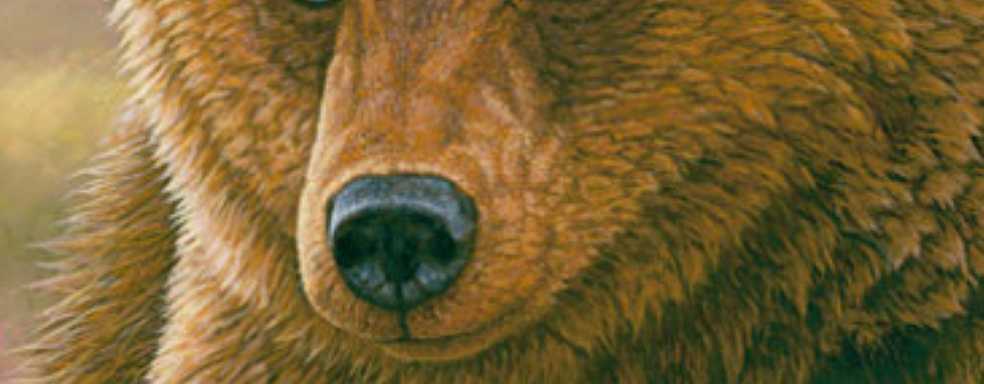 Россиянам в EGS две недели подряд будут раздавать ничего. В магазине ввели региональные ограничения на LOVE и не только