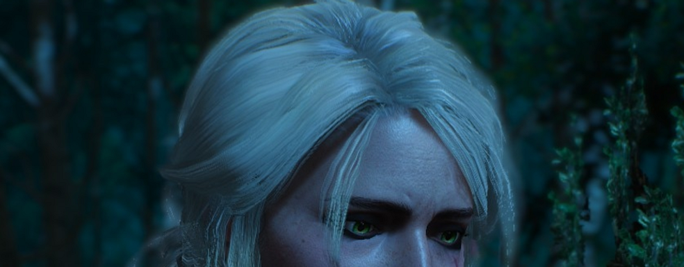 Шоураннер сериала The Witcher никогда не смеялась над книгами Сапковского. В Интернете просто врут