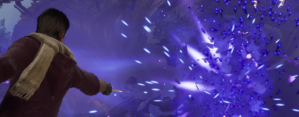 Хакершу Empress забанили на Reddit. Фанаты подозревают заказ издателя Hogwarts Legacy