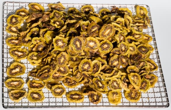 Дегидратор Rawmid Dream Vitamin DDV-10