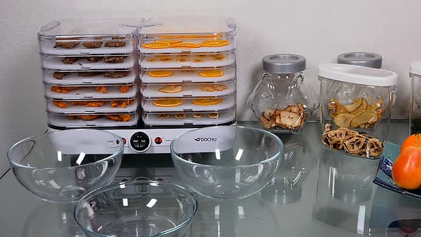 Дегидратор Gochu D-310