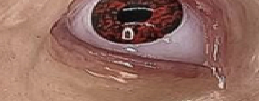 Enthusiast Creates Disgusting Nintendo 64 Controller in the "Spirit of Clive Barker"