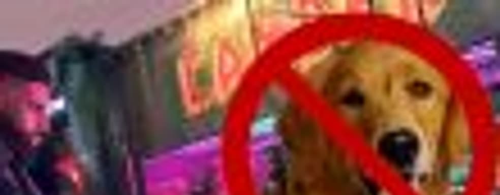 В Watch Dogs: Legion нет собак, и вот почему