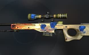 Новый рекорд CS: GO. Китайцы купили два облика для оружия за 56 миллионов рублей