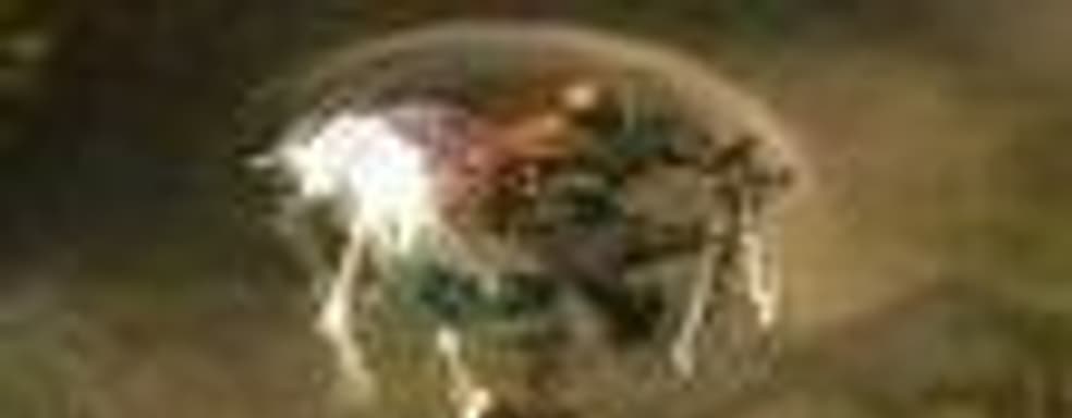 Blizzard: никакого изменения цветовой гаммы Diablo III