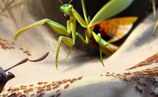 Большие разборки в маленькой муравьиной колонии. Обзор стратегии Empires of the Undergrowth