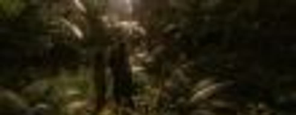 Симулятор выживания Green Hell представят в Москве на конференции White Nights