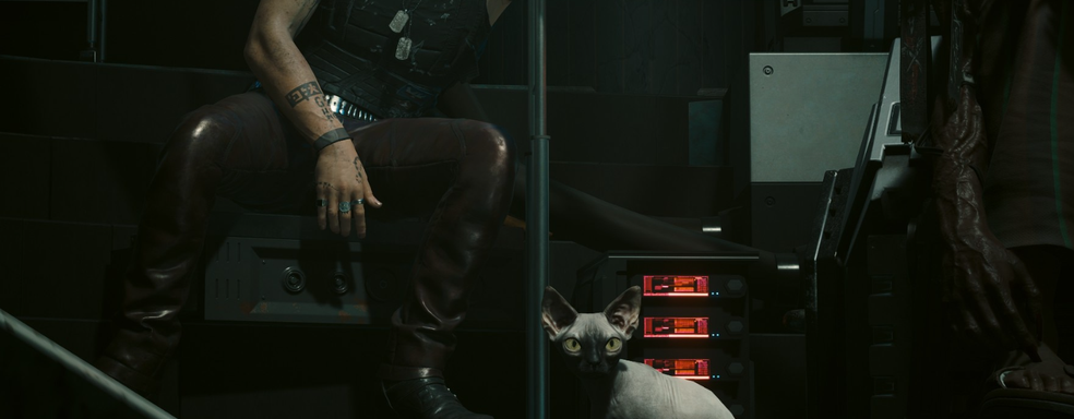 Котик-уголовник в Cyberpunk 2077. Полиция Найт-Сити разыскивает лысого преступника за кражу останков людей и убийства