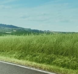 OCS starts cooperation with the Russian company Dunobil