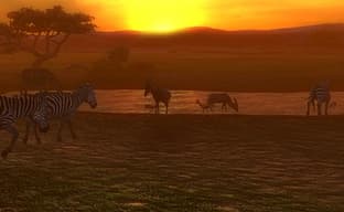 Afrika – бедное, но гордое фото-сафари