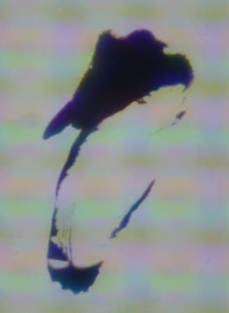 Обзор смартфона LeTV One. Тестирование дисплея