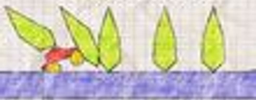 GDC 2008: демо-версии игр для XNA в  Xbox Live Marketplace