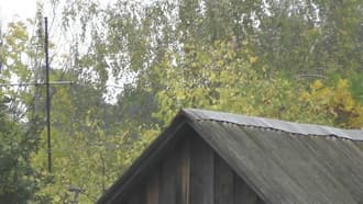 Видеокамера Panasonic AG-AC8