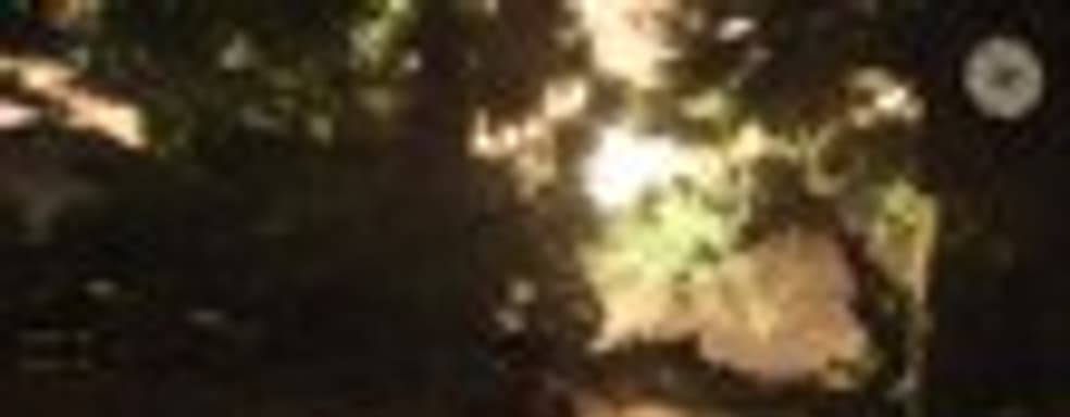 Игровой ролик Risen 2: Dark Waters