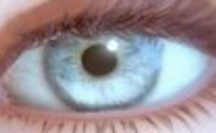 Lightning рекламирует сумки Louis Vuitton