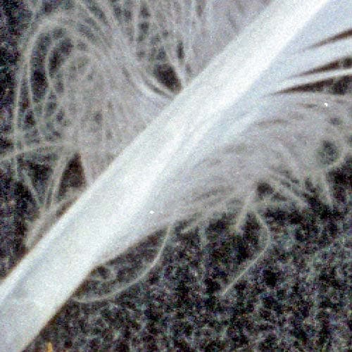 Фрагмент 1:1