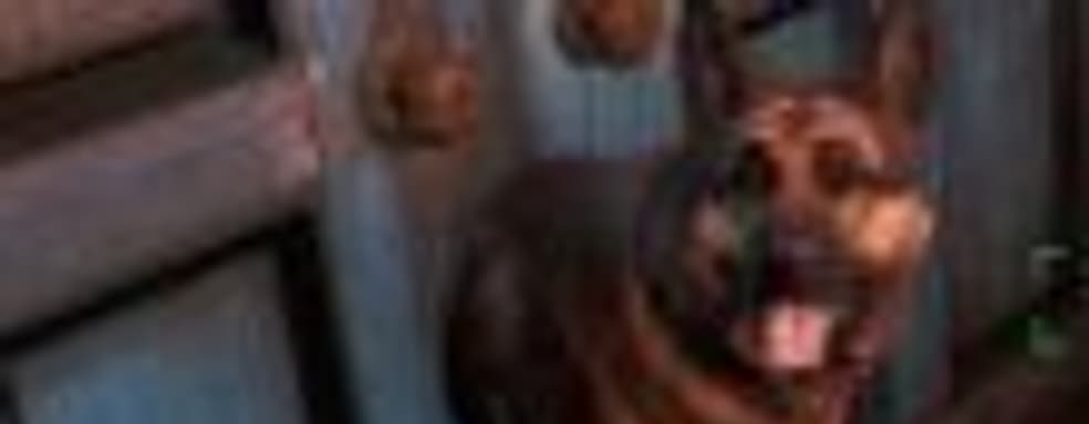 Планы Bethesda по выпуску патчей для Fallout 4: сначала на РС, потом на консолях