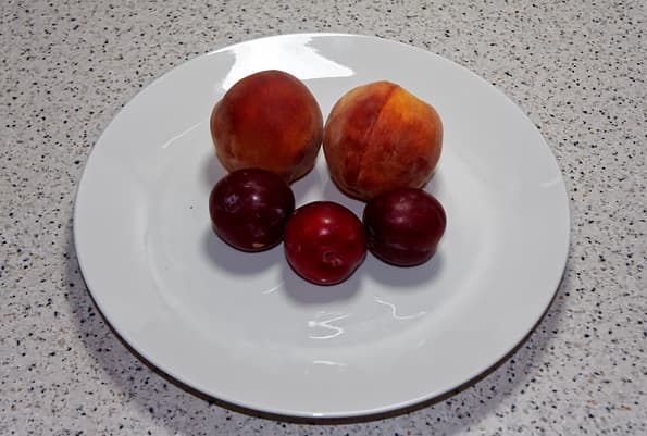 дегидратор Excalibur 4948CDBF