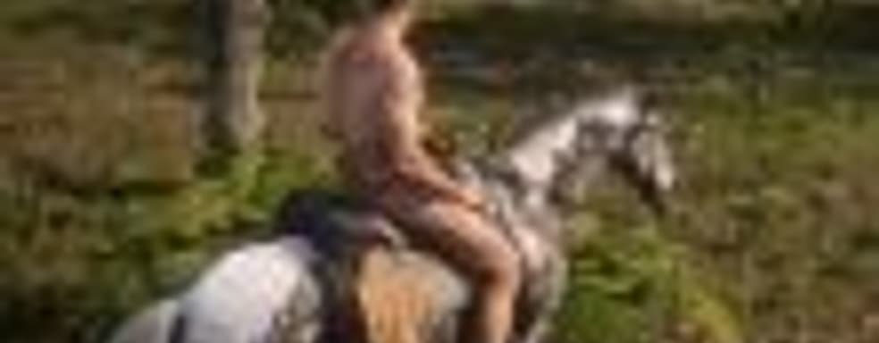 Актёру пришлось перезаписать ряд «чересчур интимных» фраз, сказанных в адрес лошади в Red Dead Redemption 2