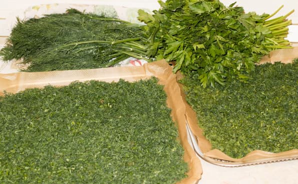 Дегидратор L’equip IR-D5