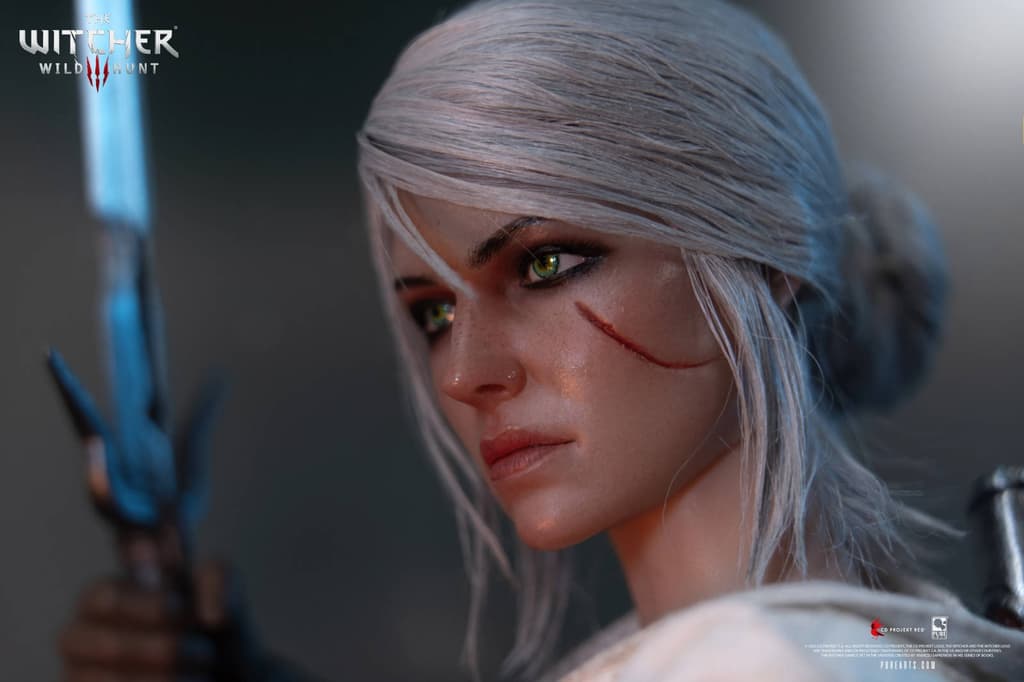 

Image rights belong to CD Projekt and PureArts

