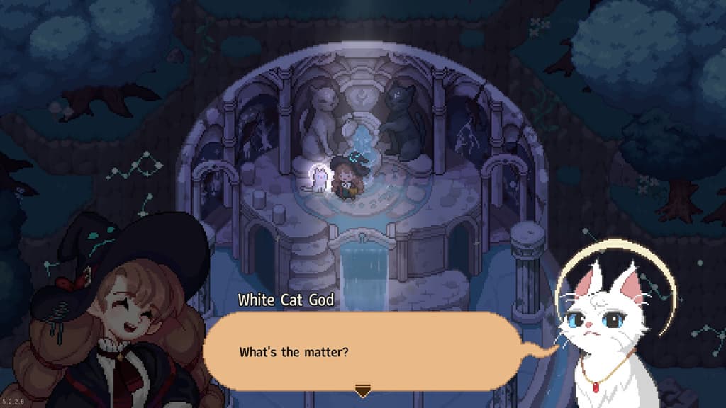Meeting with a divine kitty