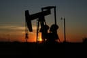 Власти Индии потребовали отчетности от НПЗ о закупках нефти из России