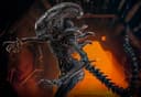 Вышла фигурка обожженного ксеноморфа из фильма «Чужой: Ромул» от Hot Toys