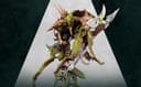 Художники сообщества Warhammer Age of Sigmar раскрасили миниатюры из набора «Город Пепла»