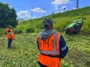 Роботы-газонокосилки на гусеничной платформе вышли на борьбу с борщевиком в Москве