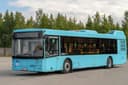 Россия может закупить 4000 белорусских автобусов для обновления парков в регионах